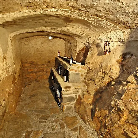 펜지온 V 수추 체스키크룸로프