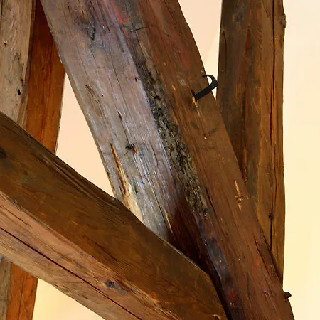 펜지온 V 수추 체스키크룸로프